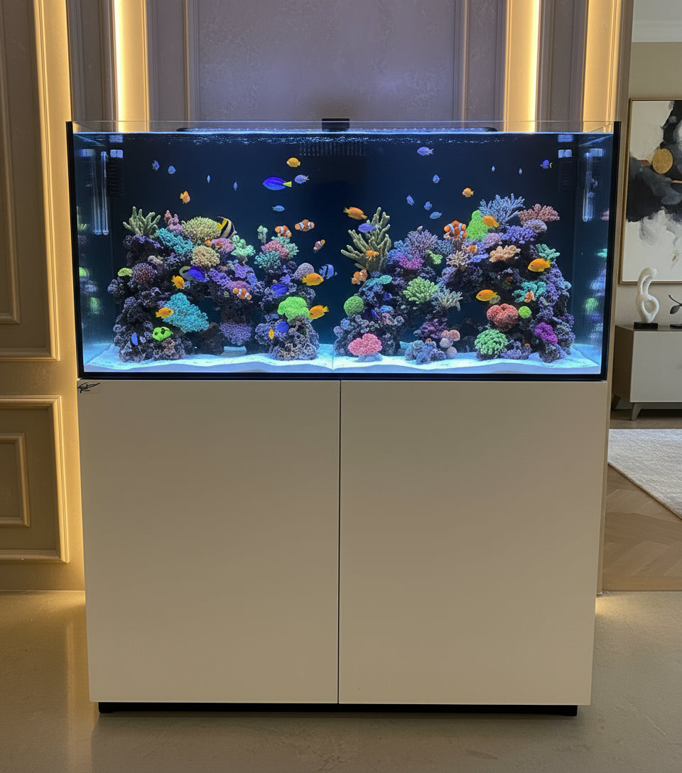 Full Reef System Aquarium (FRS)