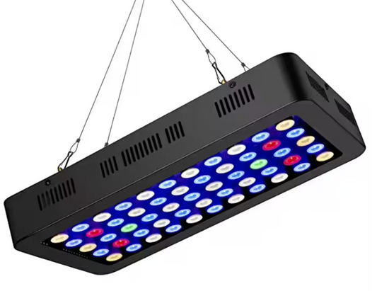 Full Spectrum Reef Light
